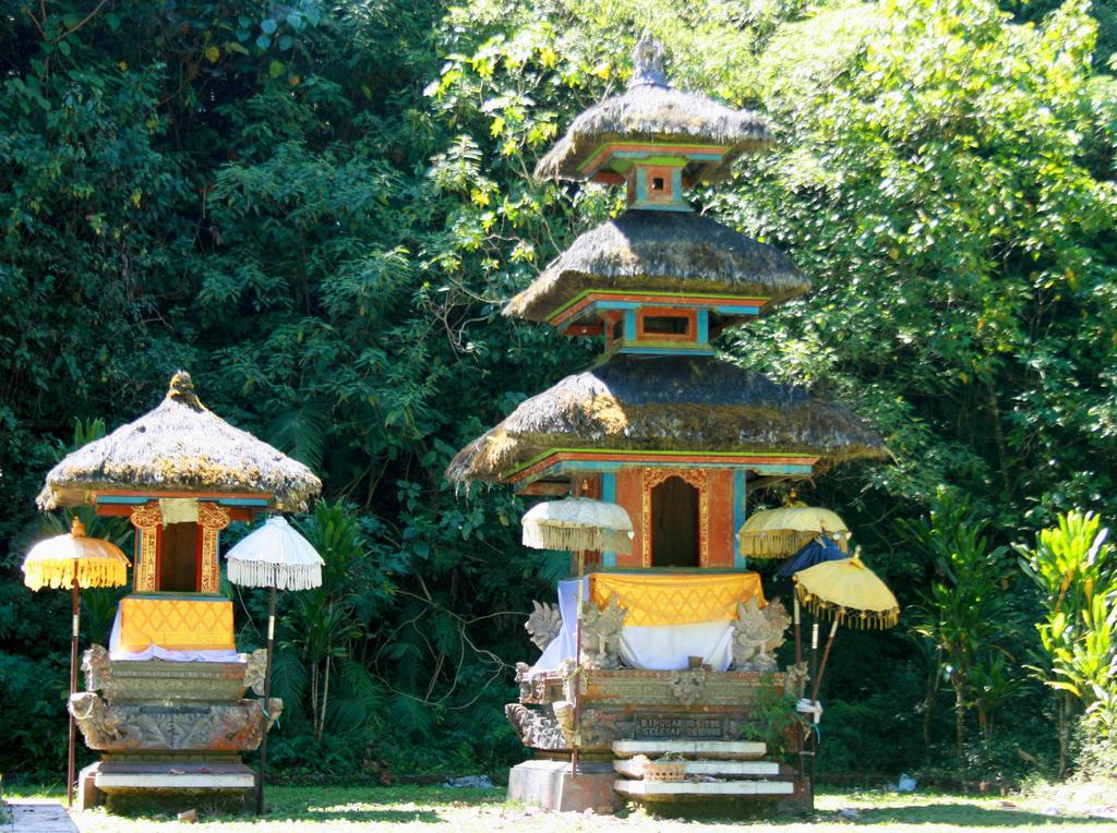 Bali Bening Hotel Munduk Eksteriør billede